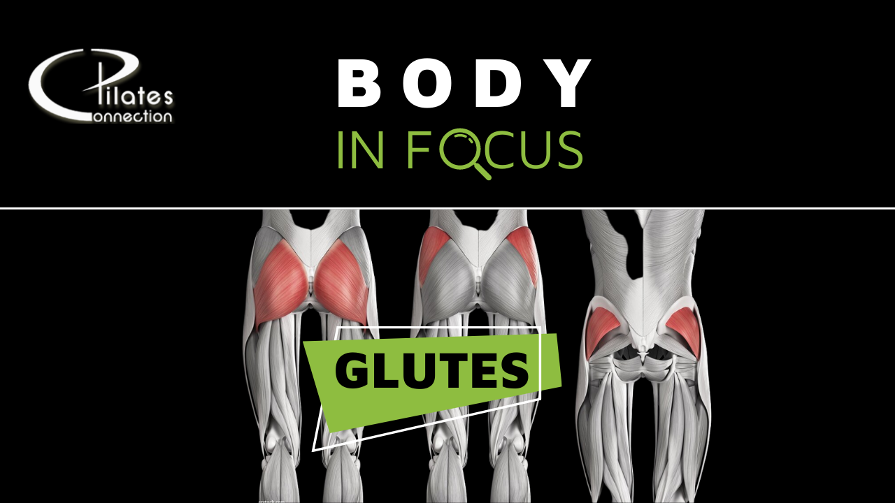 Body in Focus - Glute Muscles - pilates